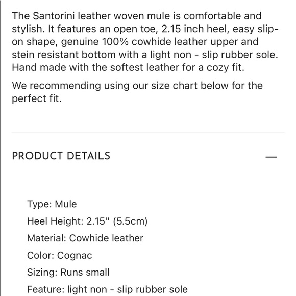 Liberté leather santorini woven mule - Picture 4 of 4